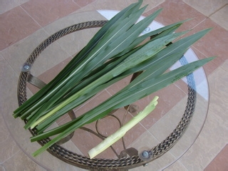 养生马草汁制作方法