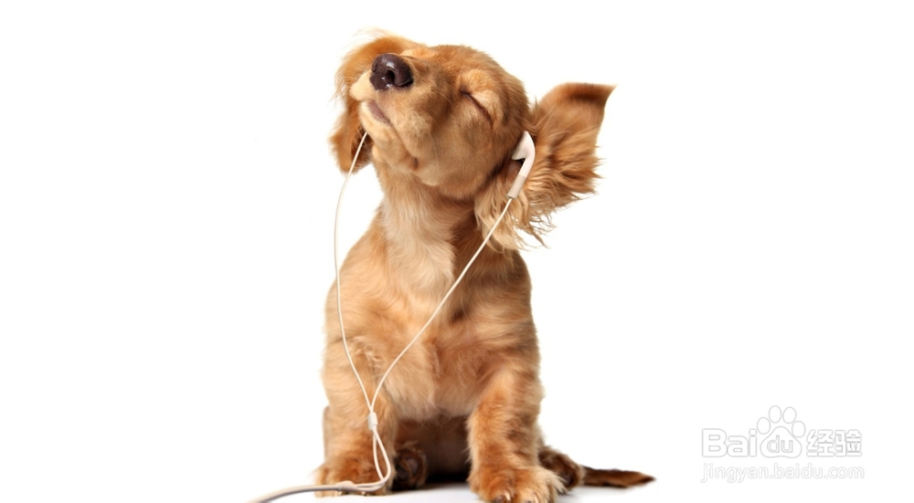 怎样自学英语更利于坚持