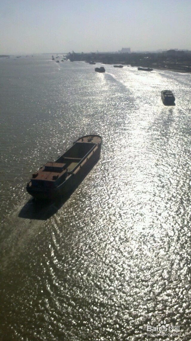 漂洋过海来看你