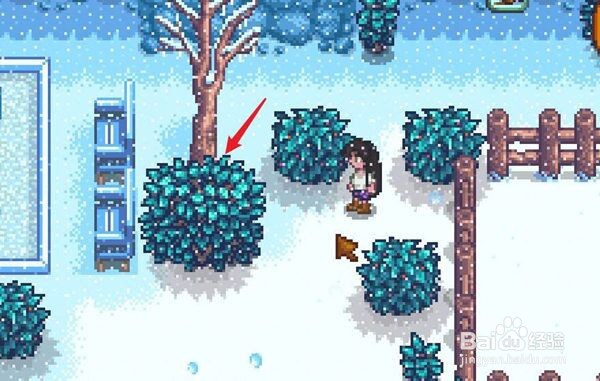 星露谷物语冬日谜团小黑位置介绍