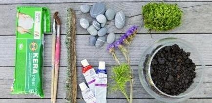 DIY迷你苔藓盆景 常绿小世界