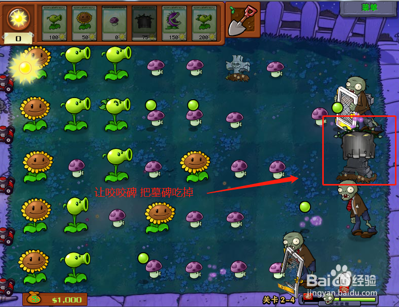 植物大战僵尸无尽版第2-4关怎么过?