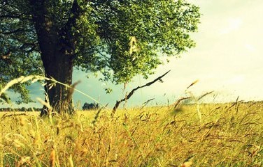 太阳能使用注意事项