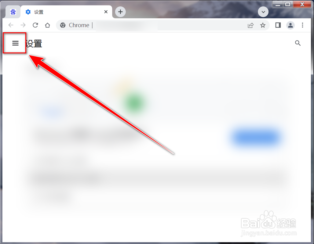 chrome如何开启拼写检查