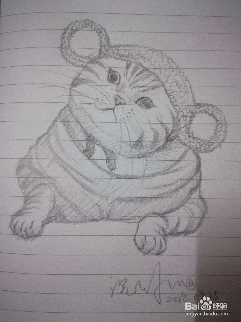 《小虎猫》手绘插画教程