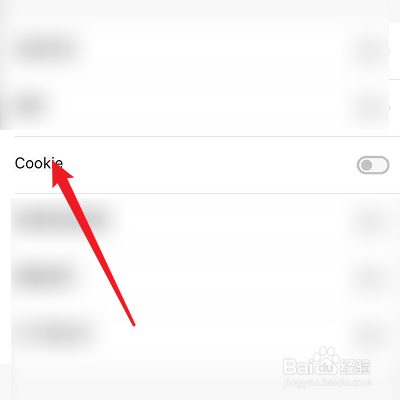 怎么清理Dark Browser的Cookie数据