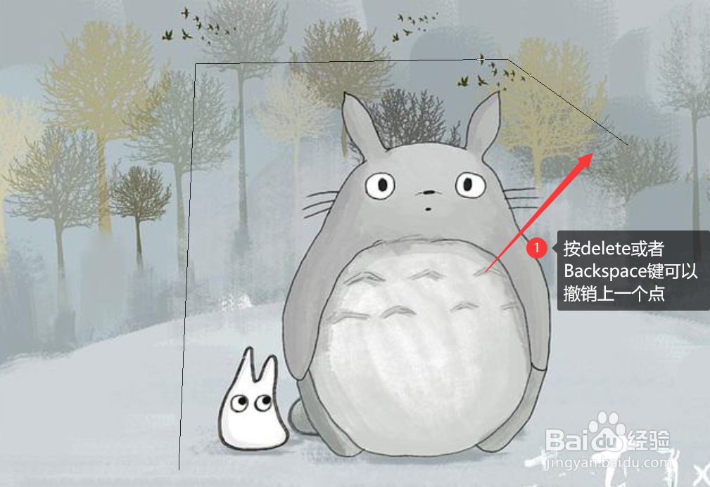 如何在ps中使用套索类工具