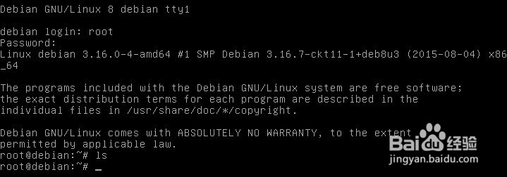 Debian系统安装教程
