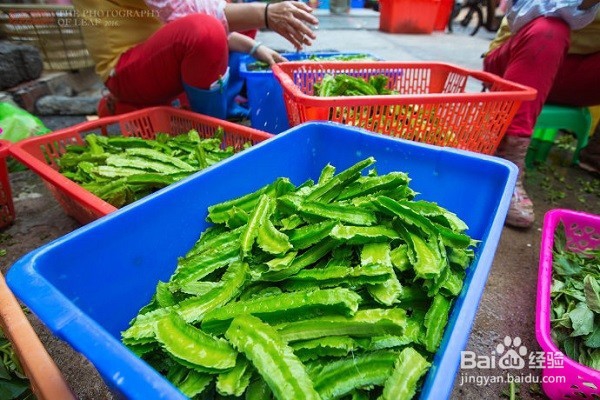 2016年度美食盛宴
