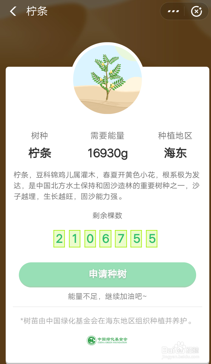 如何在支付宝中种树