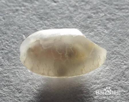 米放久了会有虫子，那么问题来了，那些虫子都是哪里来的呢？