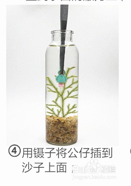 泰国斗鱼创意水族迷你生态瓶制作图文教程