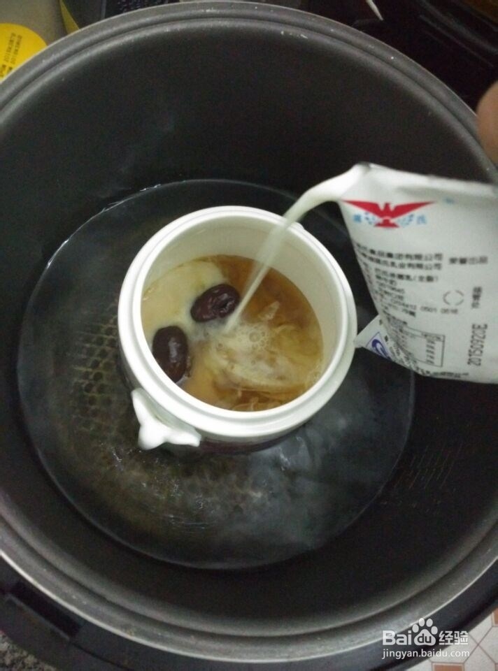 制作牛奶炖花胶
