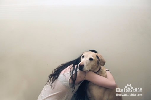 前男友一直骚扰我怎么办