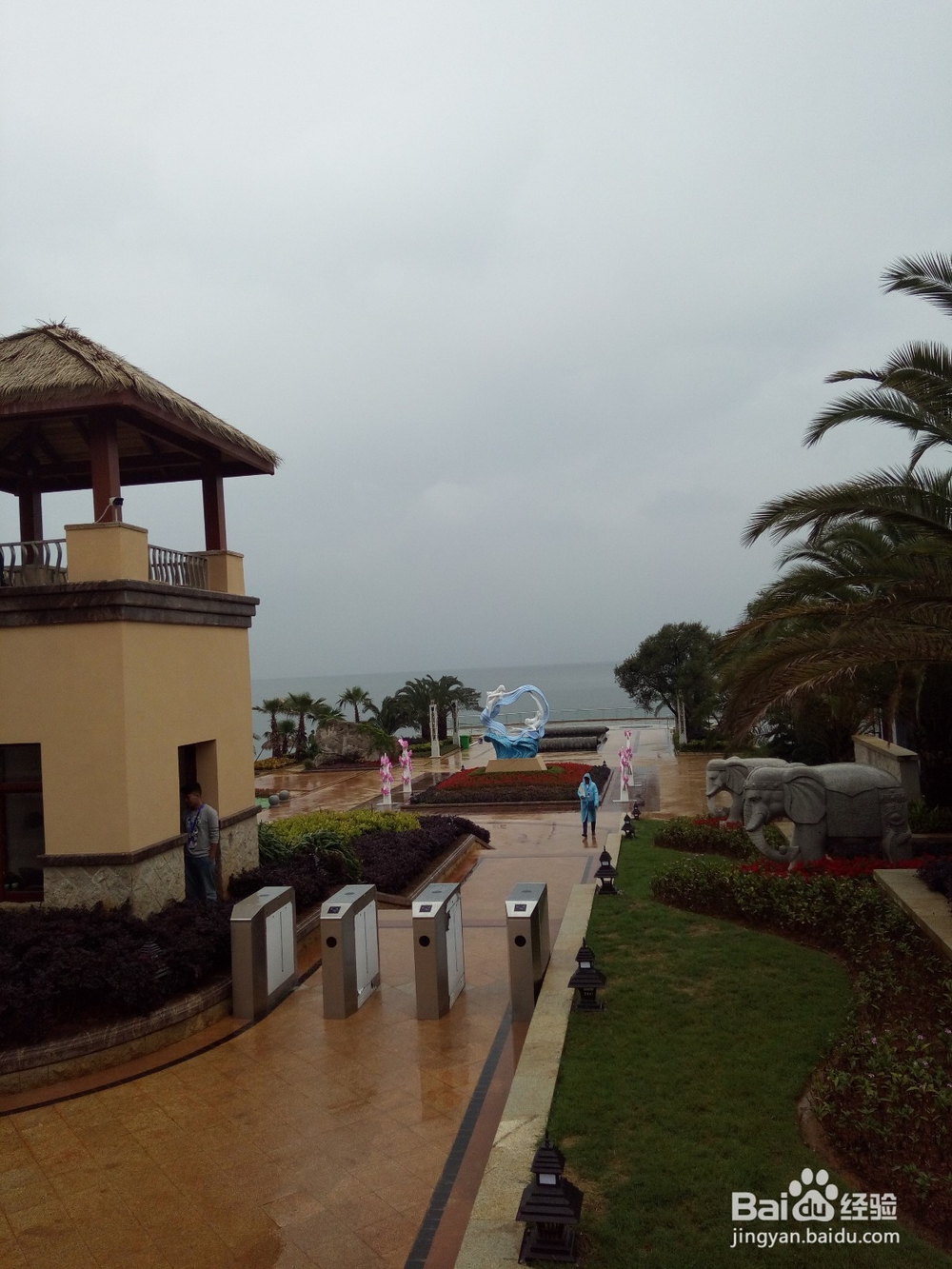 云南最美玉溪抚仙湖之樱花谷湿地公园情侣约会旅