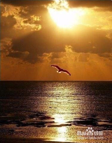 如何提升自我肯定的方法和认识自我？