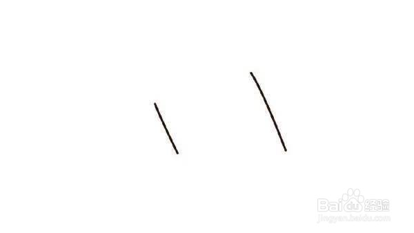 小猪的简笔画教程