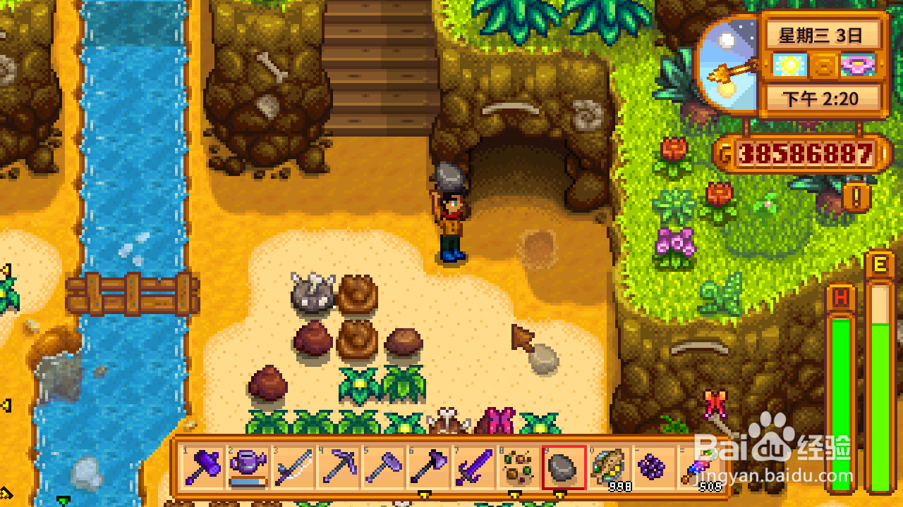 星露谷物语姜岛紫色花和海星数量