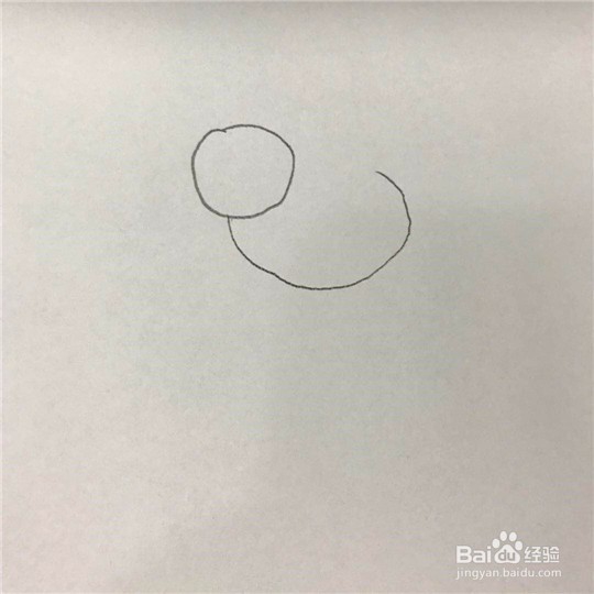 小鸡的简笔画画法