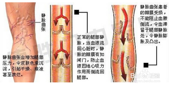律动有用吗？律动的作用？