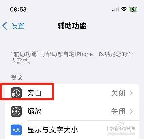 苹果手机在哪开启旁白音调变化功能