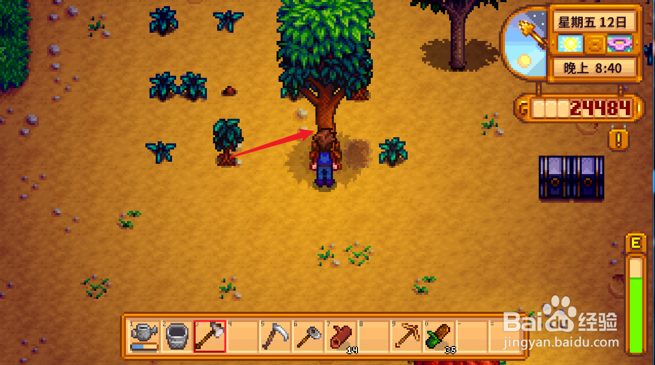 星露谷物语硬木怎么获得