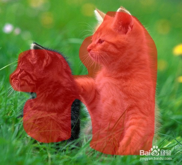 怎么使用PS中的快速蒙版？