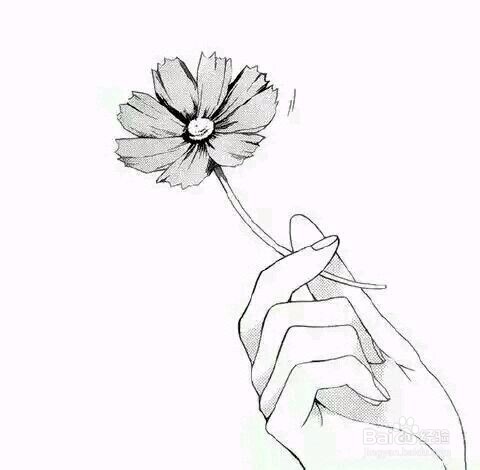 如何加入搜狗指南及与百度经验相比的利与弊