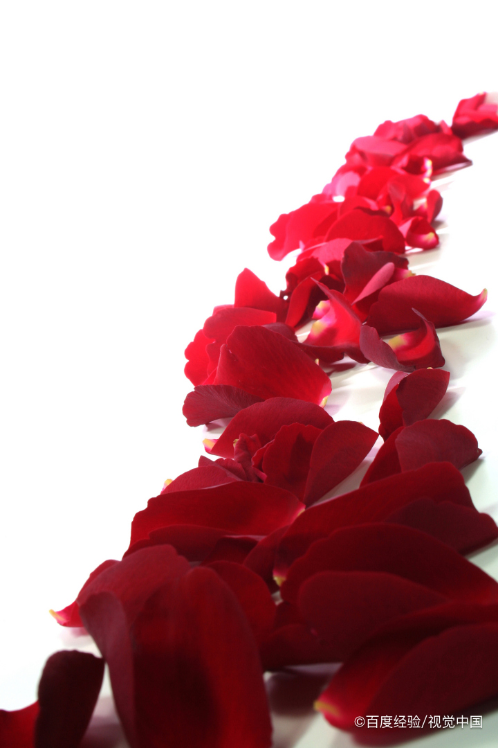 花店买的玫瑰花瓣可以做什么