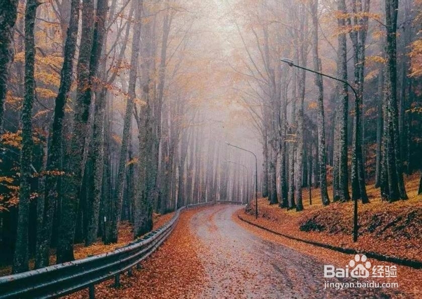 如何告别生活中的浮躁?