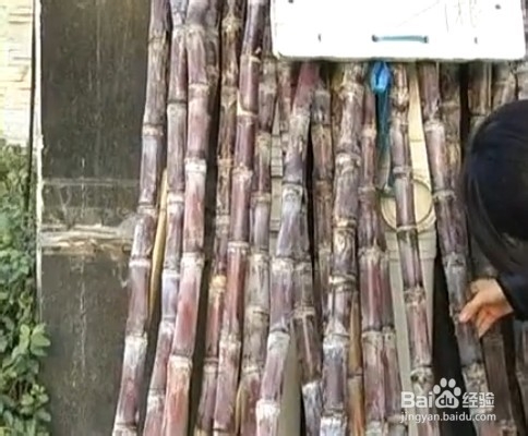 如何挑选水果蔬菜：[5]如何挑选甘蔗