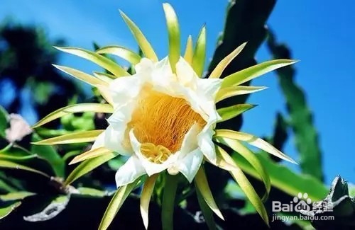 一生都不胖的方法！不用饿肚子，不用吃药，简单