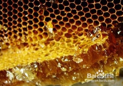 巴西蜂胶的功效与作用及食用方法