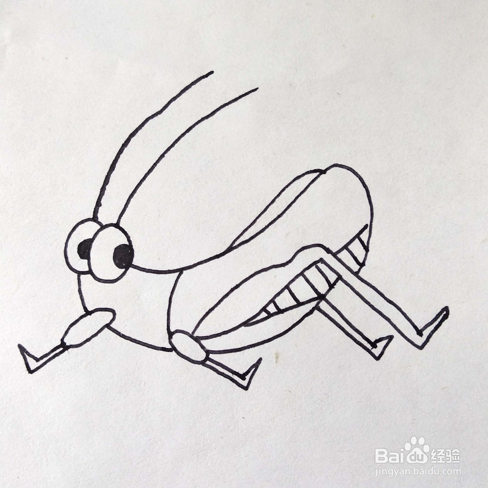 如何画一只有趣的蚱蜢/蝈蝈卡通简笔画