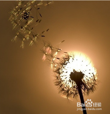 生活怎样才能快乐