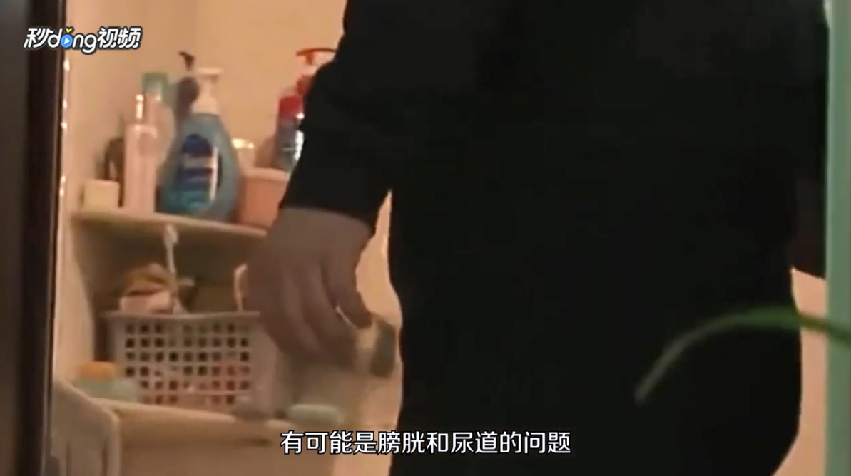 男人一天几次小便算正常