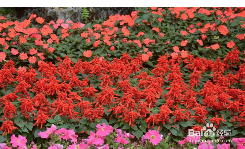 现在做什么生意赚钱？