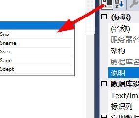 SQL Server如何添加关系图的说明