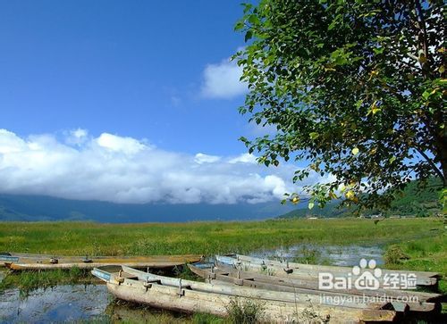 黄金长假丽江游