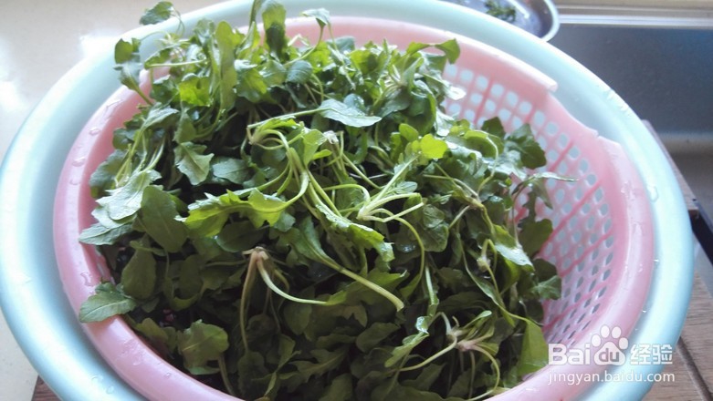 荠菜炒肉丝的做法