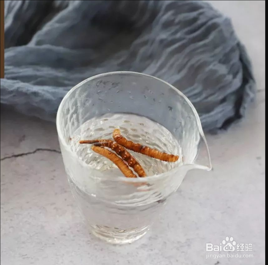冰皮虫草燕窝月饼怎么做
