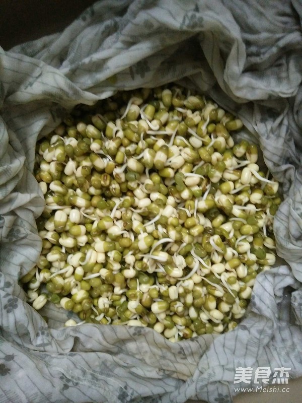 炒自发绿豆芽