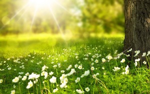 保险理赔需要哪些流程和原则？