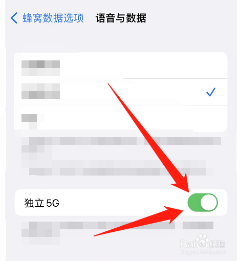怎么关闭手机的独立5g网络