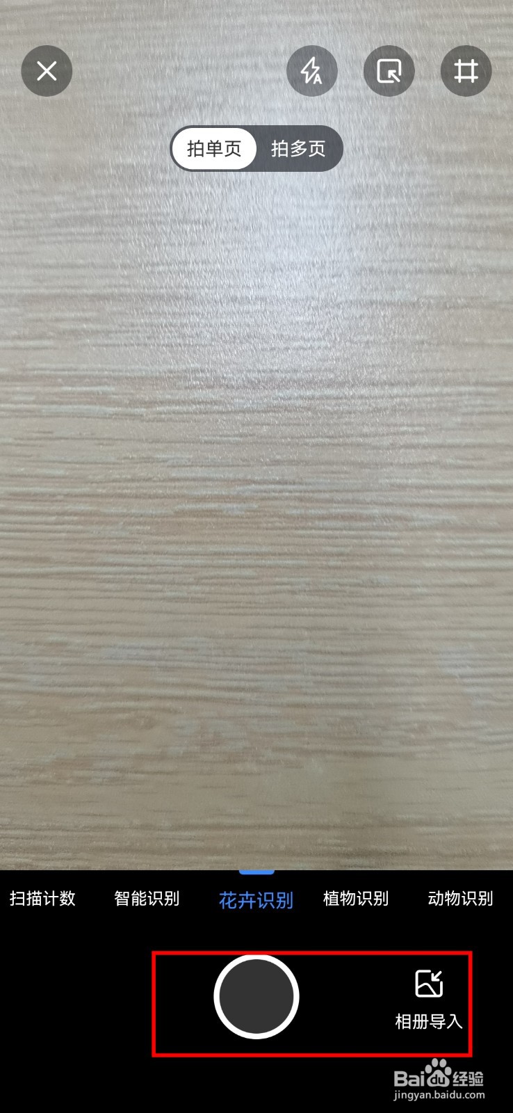 怎样拍照识别植物?