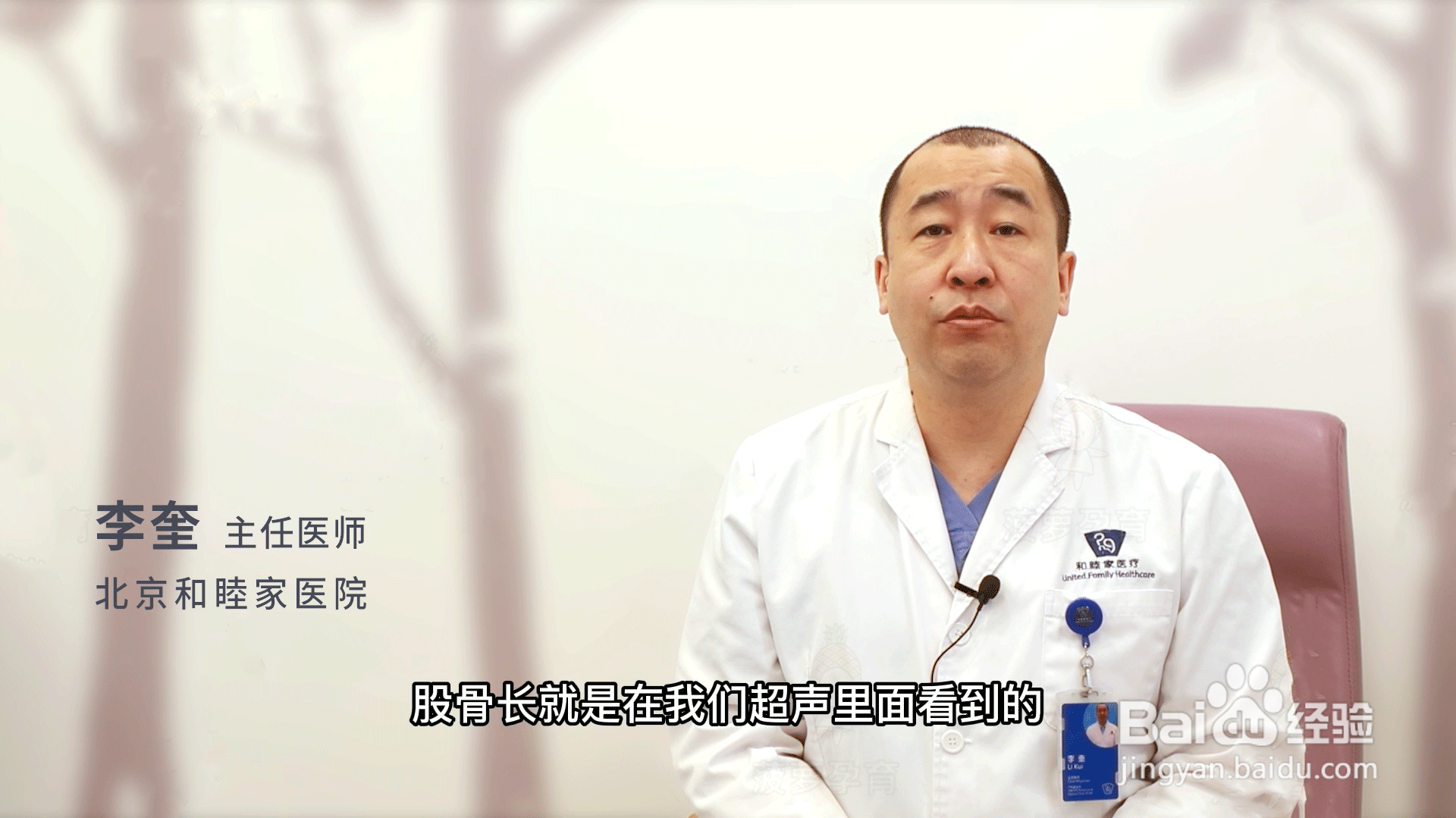 股骨是哪个部位