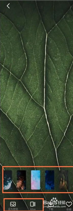 魅族18pro壁纸在哪换