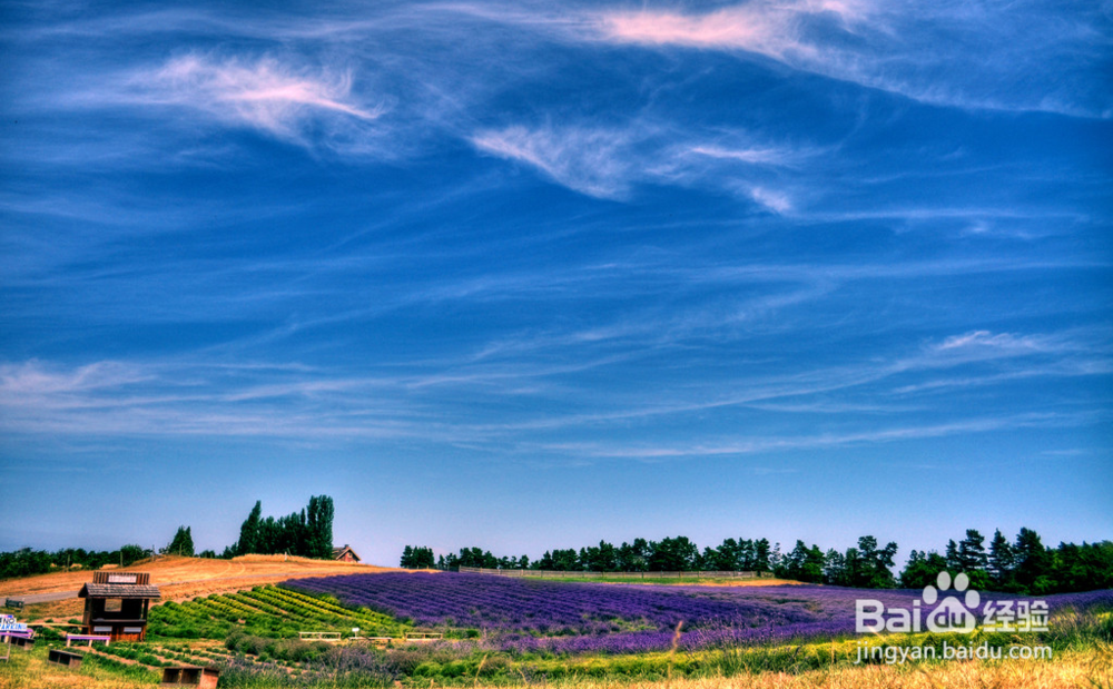如何去控制情绪