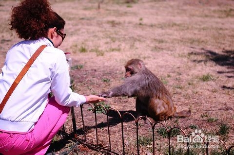 北京放暑假比较好玩的景点推荐