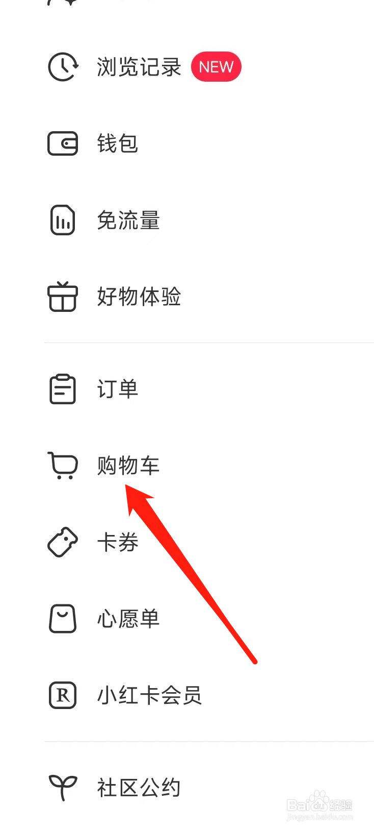 怎样查看小红书的购物车
